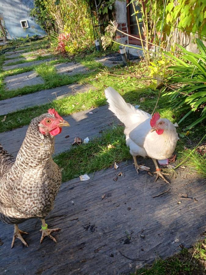 Logement Entier - Le Pigeonnier De La Plume Nantes Esterno foto