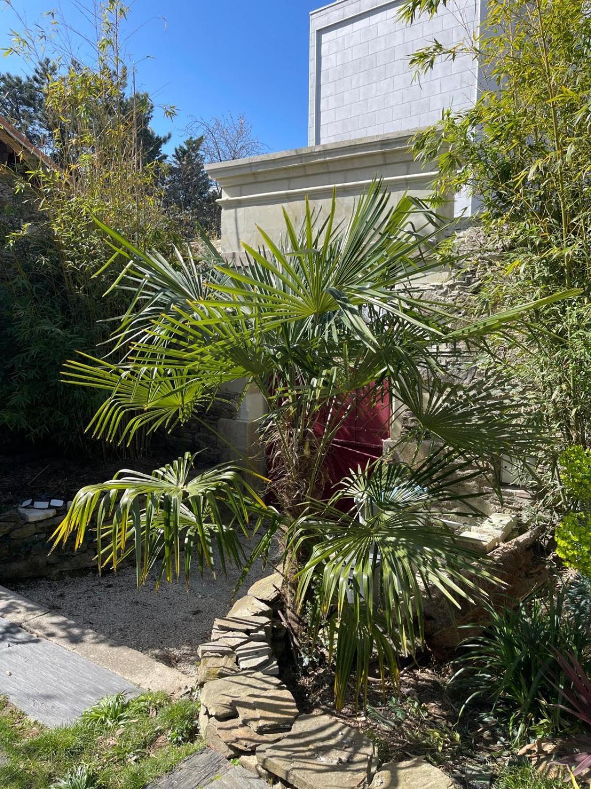 Logement Entier - Le Pigeonnier De La Plume Nantes Esterno foto